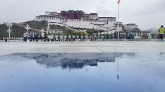 成都至拉薩：緊急時刻的高效空運物流保障